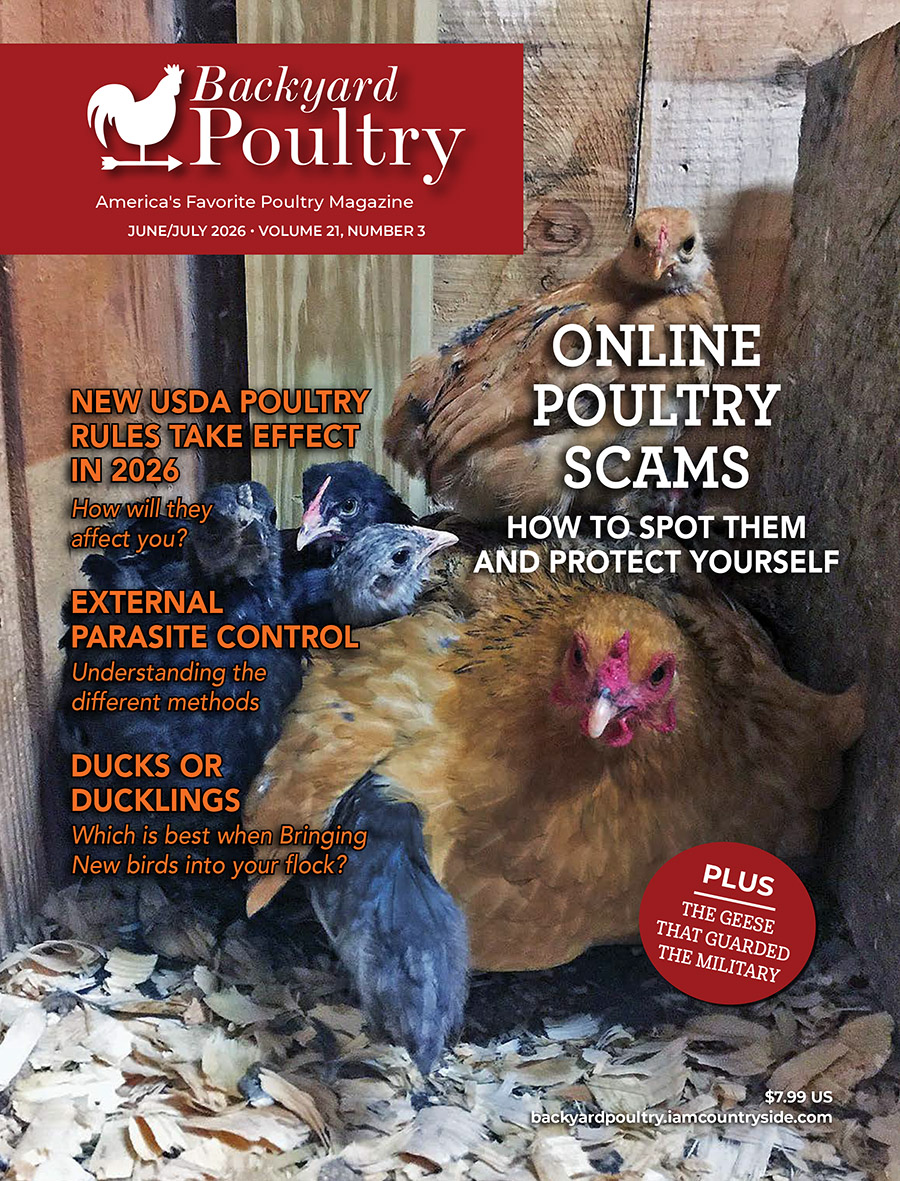 Backyard Poultry — June/July 2026